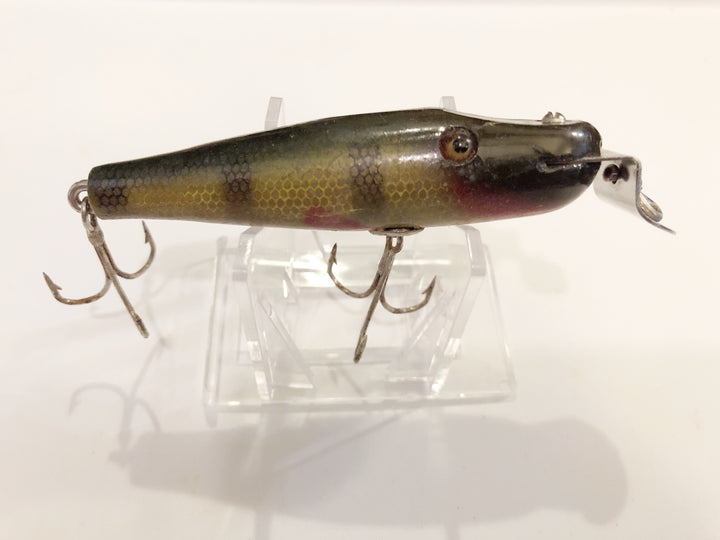Creek Chub Baby Pikie 901 Perch Color Glass Eyes