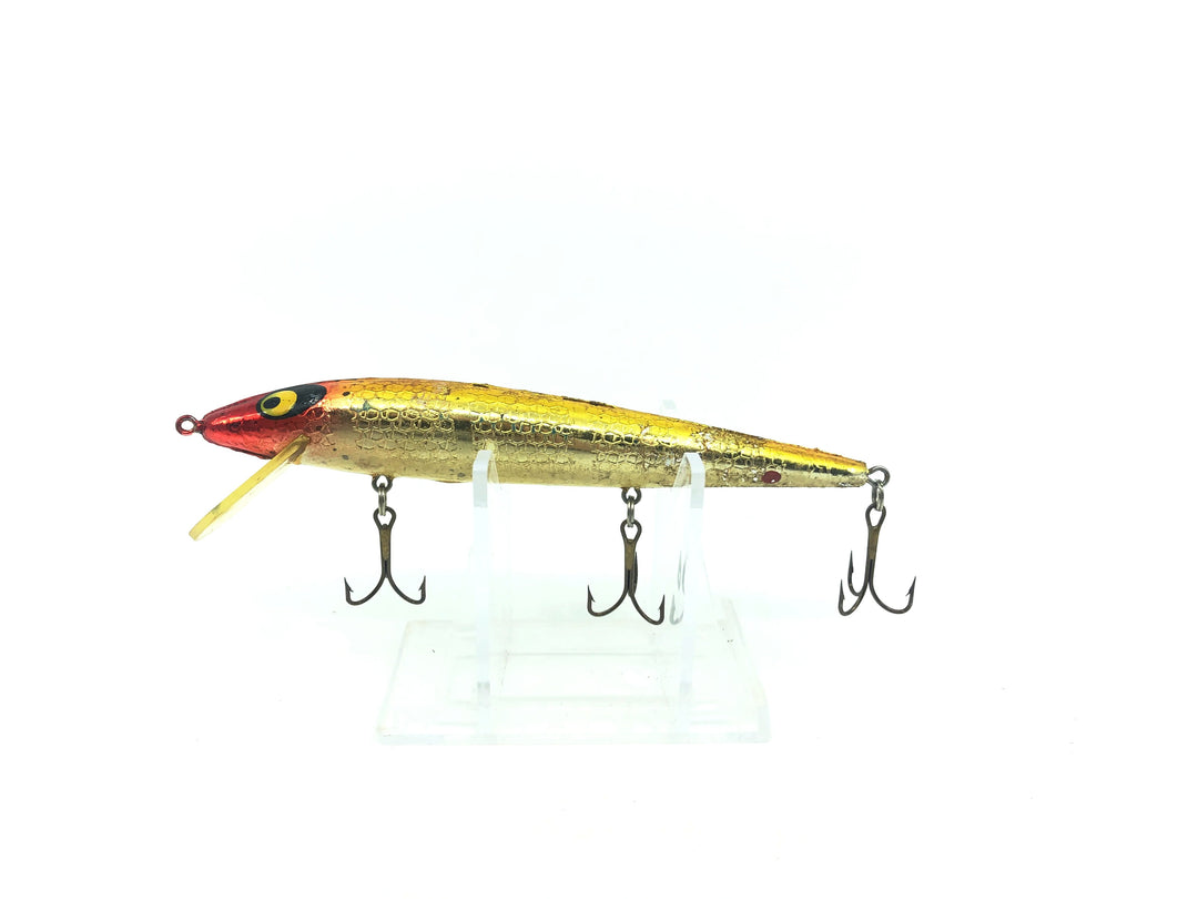Smithwick Suspending Rogue Gold/Red/White Belly Color