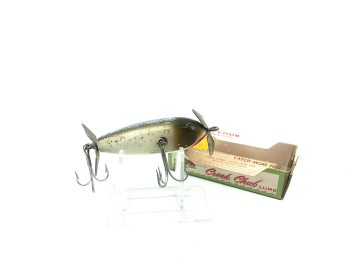 Creek Chub Baby Injured Minnow in Silver Flitter Color with Box