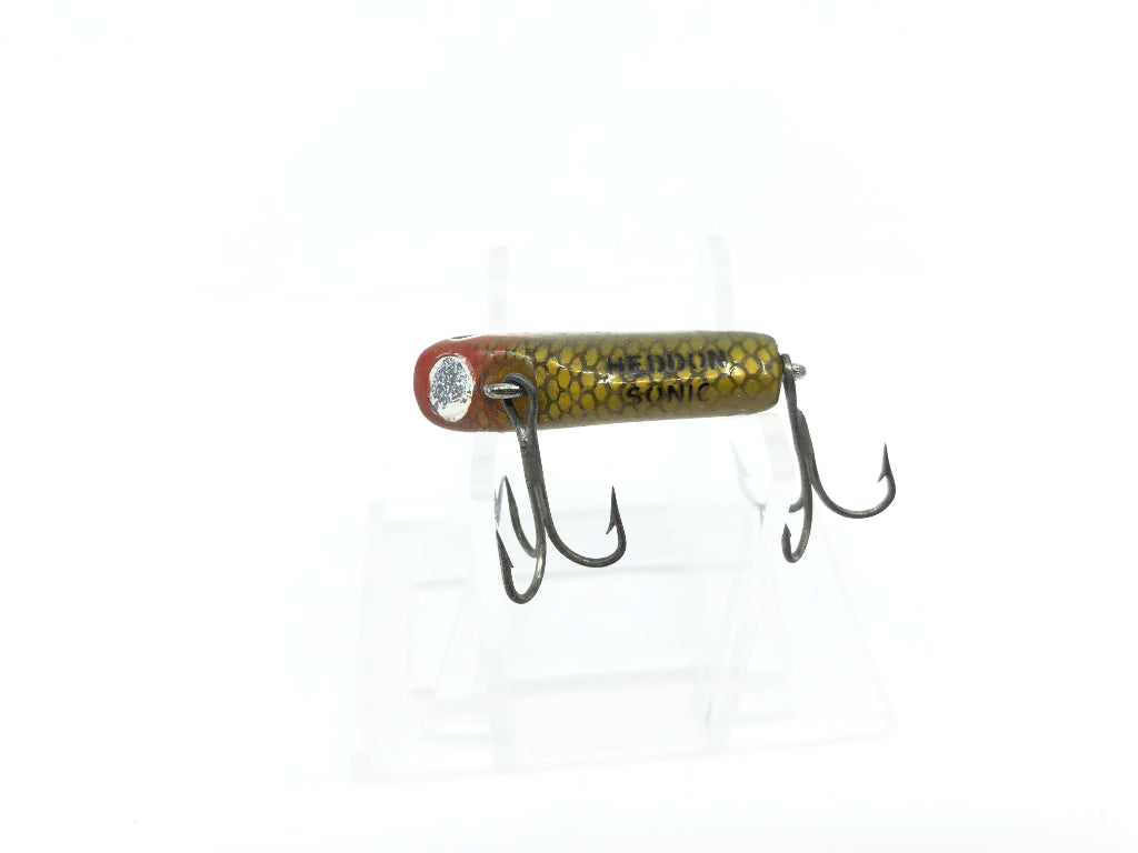 Heddon Sonic L Perch Color