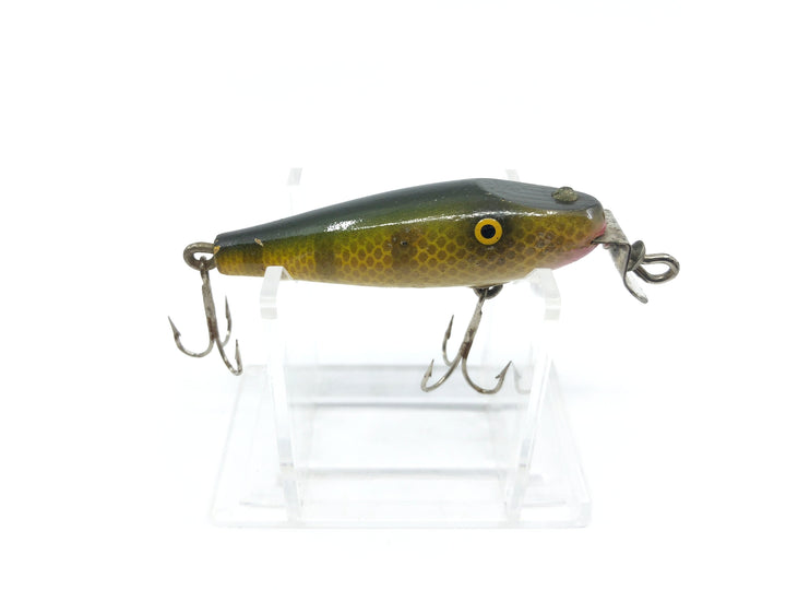JC Higgins Baby Pikie Perch Color