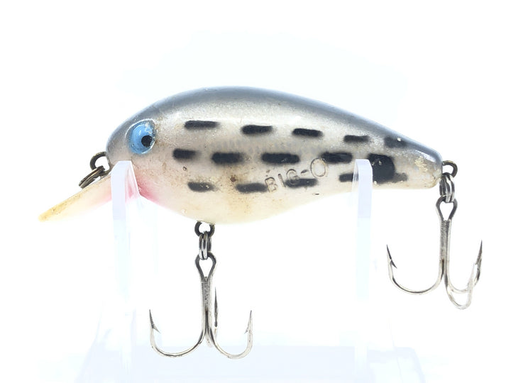 Cordell Big-O Shad