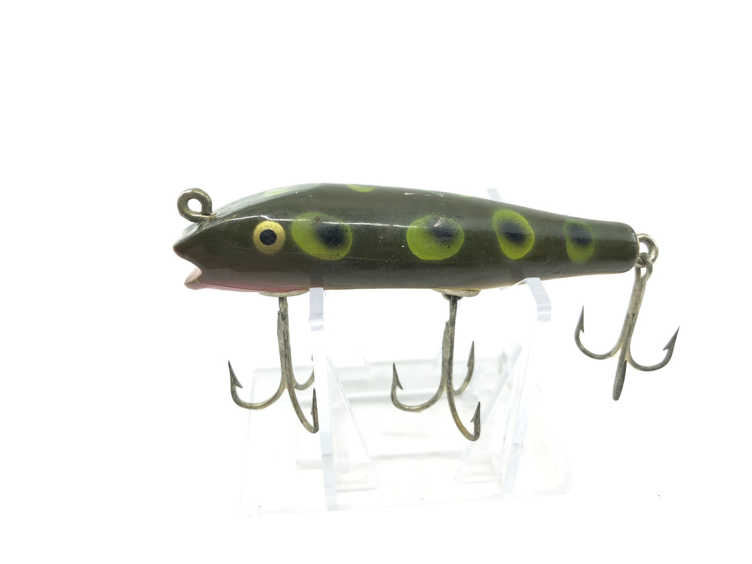 Creek Chub Concave Darter Frog Color