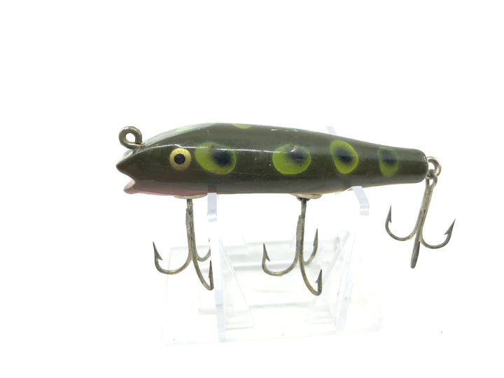 Creek Chub Concave Darter Frog Color