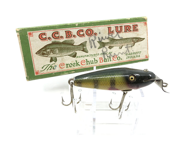 Creek Chub River Scamp 4301 Perch Color with Box and Order Form