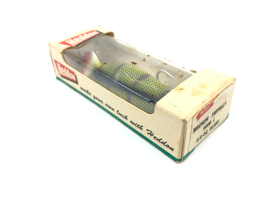 Heddon Magnum Tadpolly 9006L Perch Color with Box