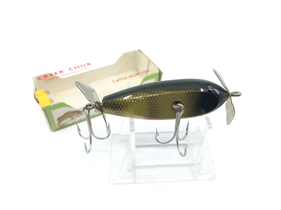 Creek Chub Baby Injured Minnow in Perch Color with Box 1601P