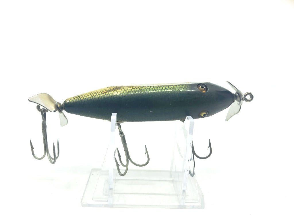 Creek Chub 1500 Injured Minnow 1501 Perch Color