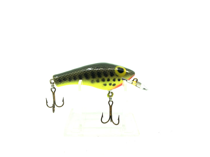 Poe's Super Cedar Shallow Series, Baby Bass/Chartreuse Belly Color