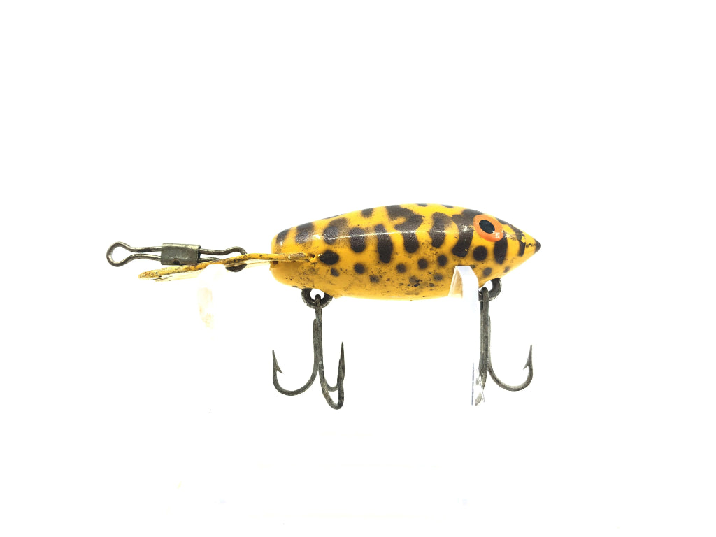 Imitation Bomber Yellow Coachdog