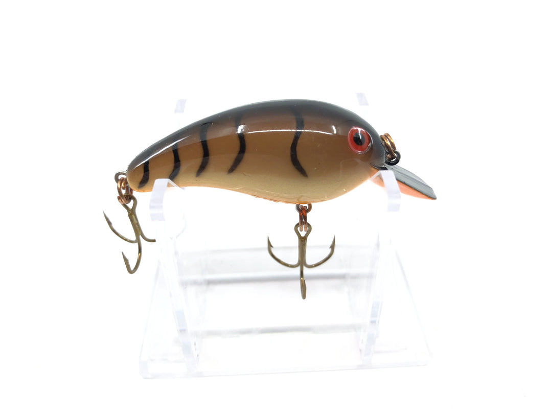 Small Size Cordell Big-O Great Color
