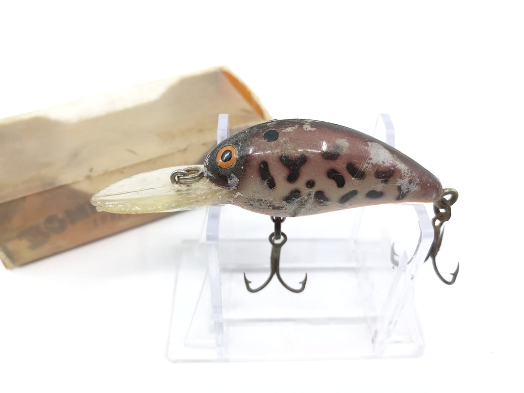 Bomber Model A Crawfish Color with Box