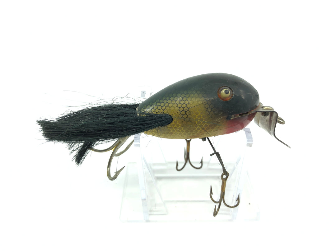 Creek Chub 5100 Dingbat in Perch Color 5101