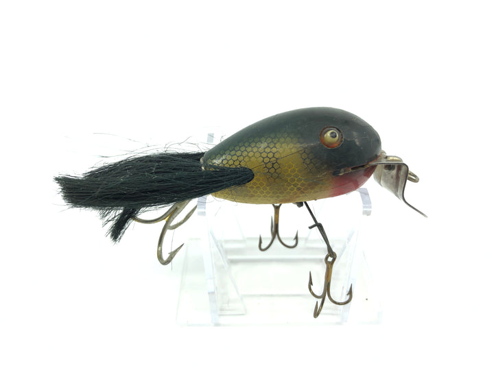 Creek Chub 5100 Dingbat in Perch Color 5101