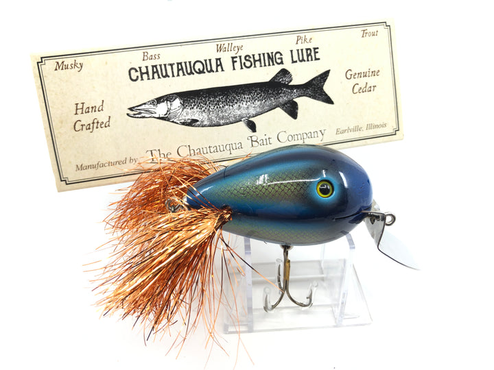Chautauqua Custom Dingbat in Windstream Color