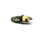 Heddon Wooden Crazy Crawler 2100 BWH Black White Head/Black Hornet Color