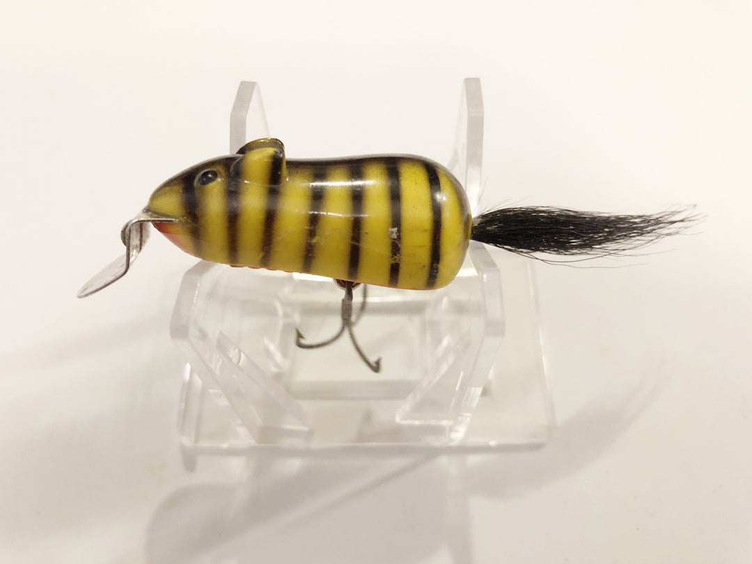 Creek Chub Field (Mitie) Mouse in Tiger Stripe Color