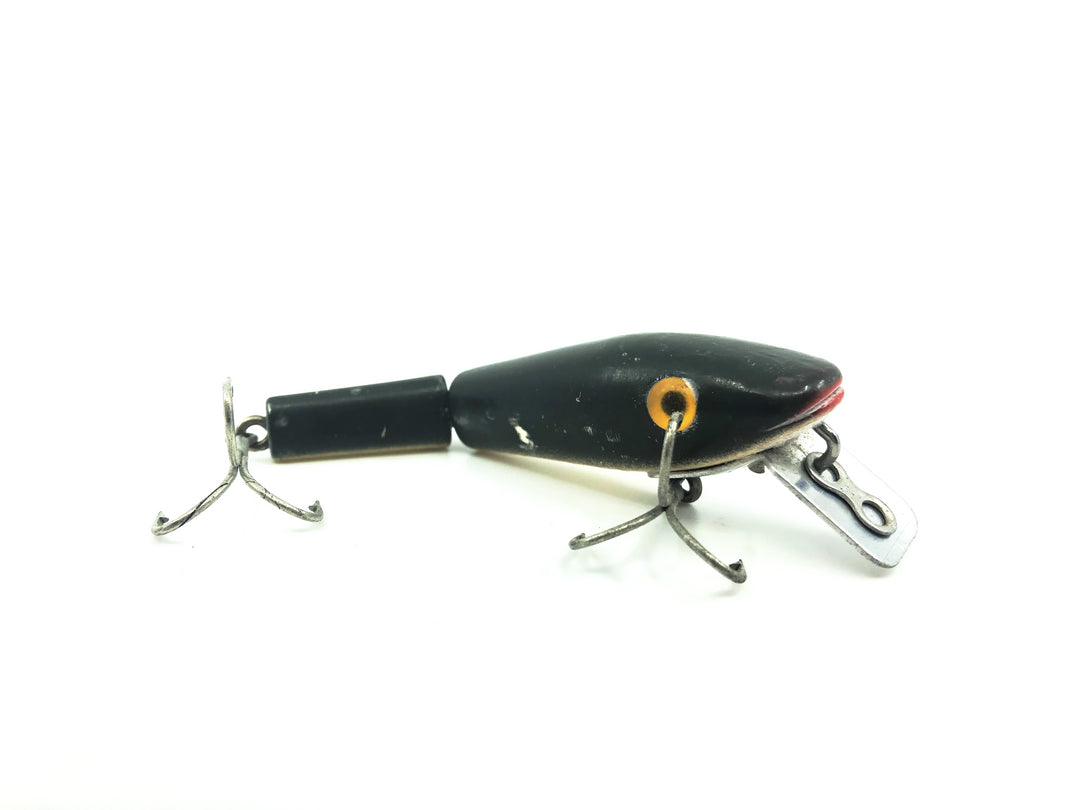 L & S Baby Cat Floater Brown and Yellow Belly