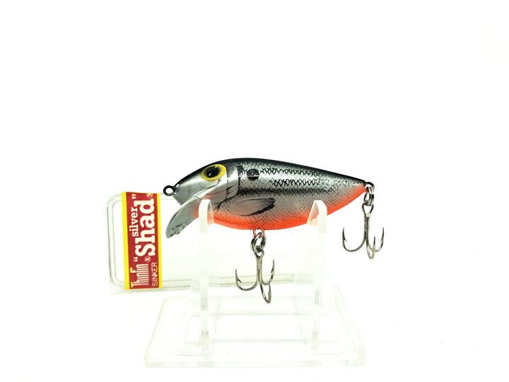 Storm Thin Fin T64 Naturalistic Shad/Orange Belly Color with Box Red Label