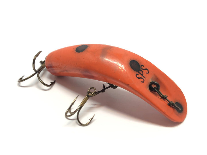 Helin Flatfish SPS Orange with Black Spots