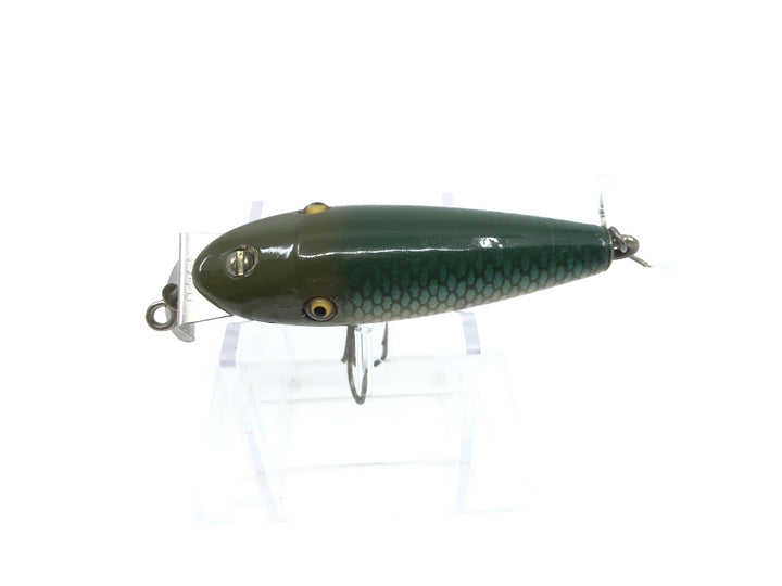 Creek Chub River Scamp 4300 Chub Scale Color