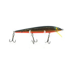 Smithwick Suspending Rogue Gold/Black/Orange Color