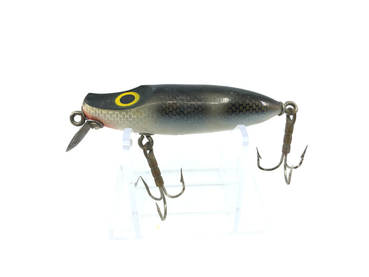 Millsite Wig Wag Black Spots and Scale Color