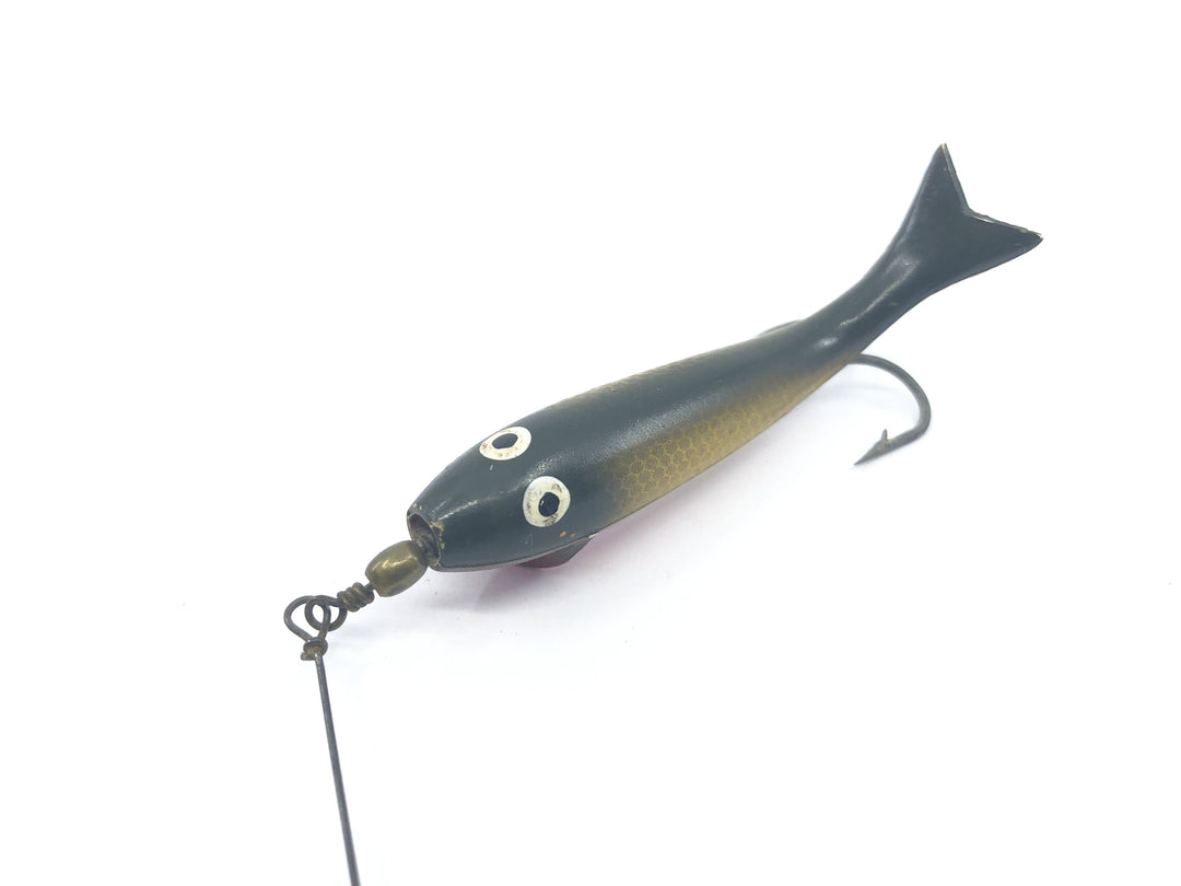 P & K Whirl A Way Golden Shiner Color