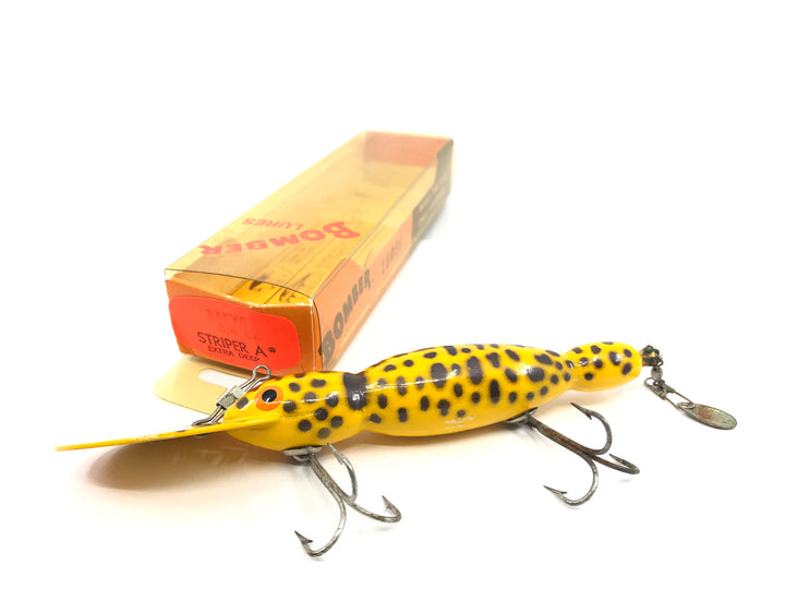 Bomber Wooden Water Dog Yellow Coach Dog Color 59 with Box