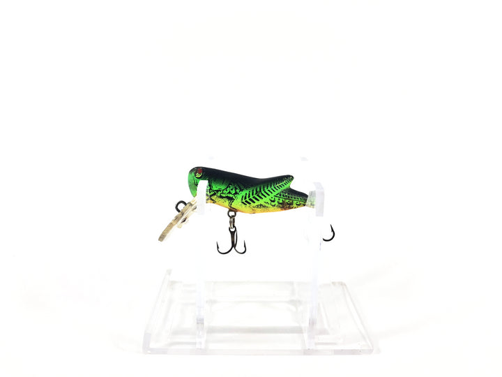 Rebel Crickhopper Firetiger Cricket Color