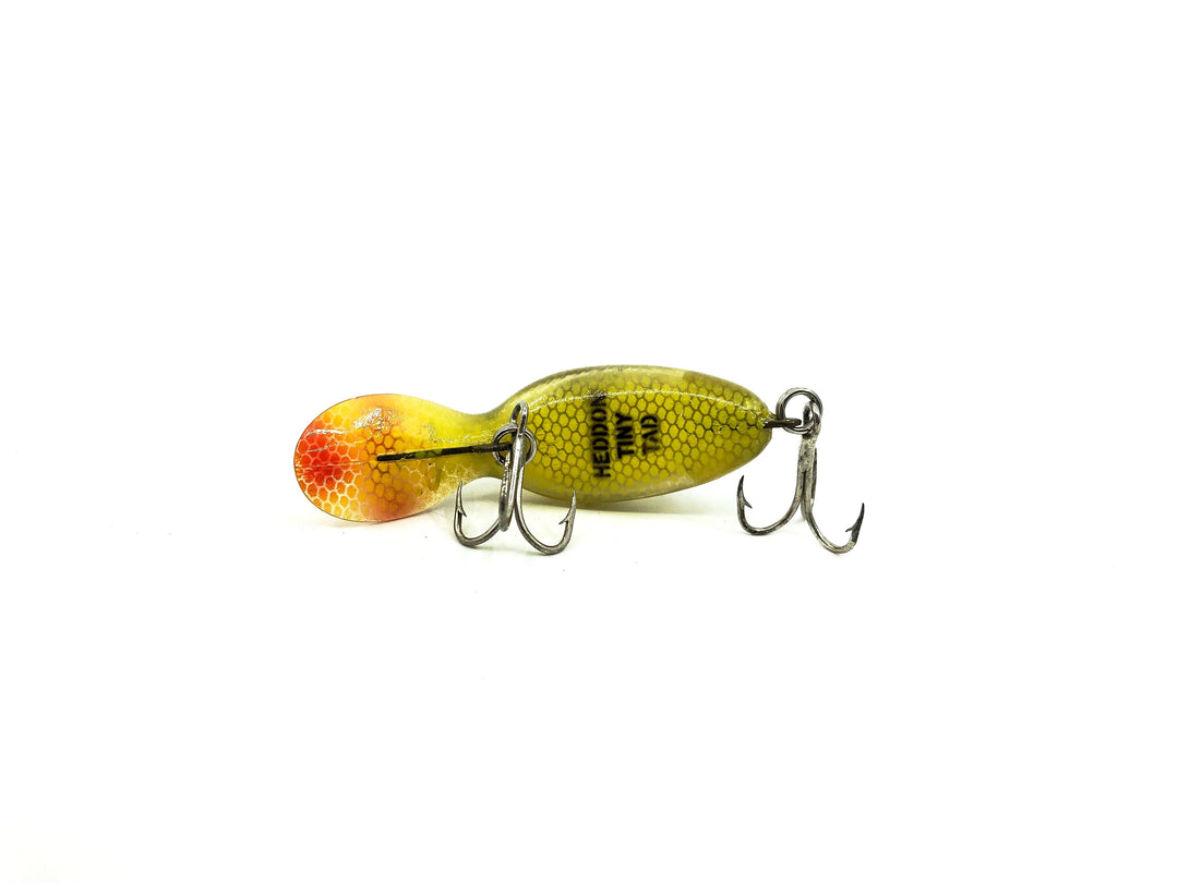 Heddon Tiny Tad, L Perch Color