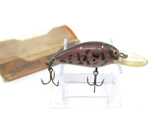 Bomber Model A Crawfish Color with Box
