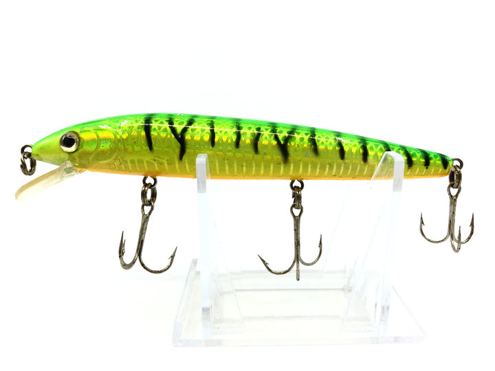 Holographic Fire Tiger Minnow