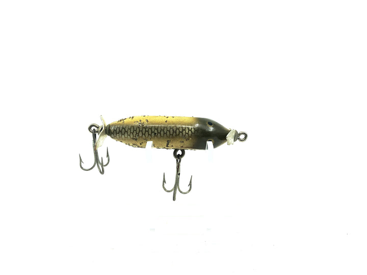 Creek Chub Baby Injured Minnow Silver Flash Color