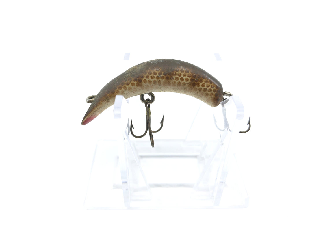 Lazy Ike 1 Brown Rib Scale Color