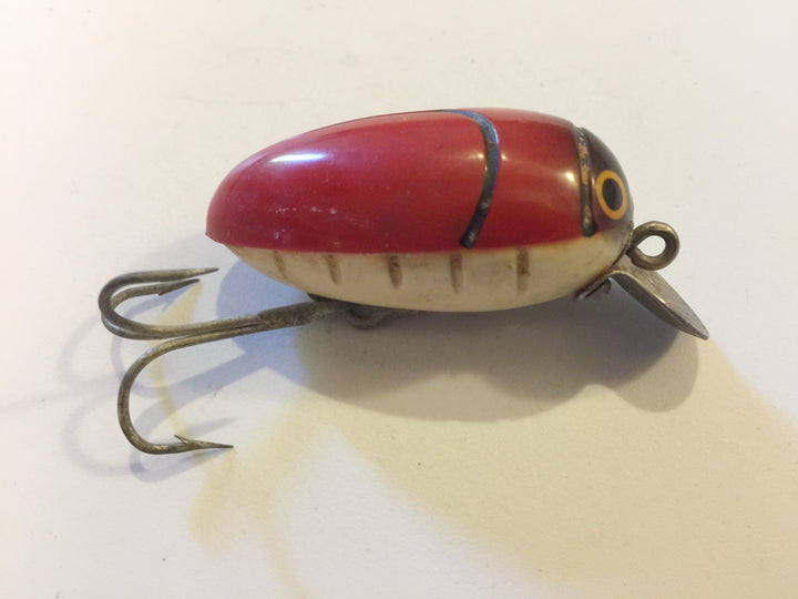Millsite Rattle Bug Lady Bug Color