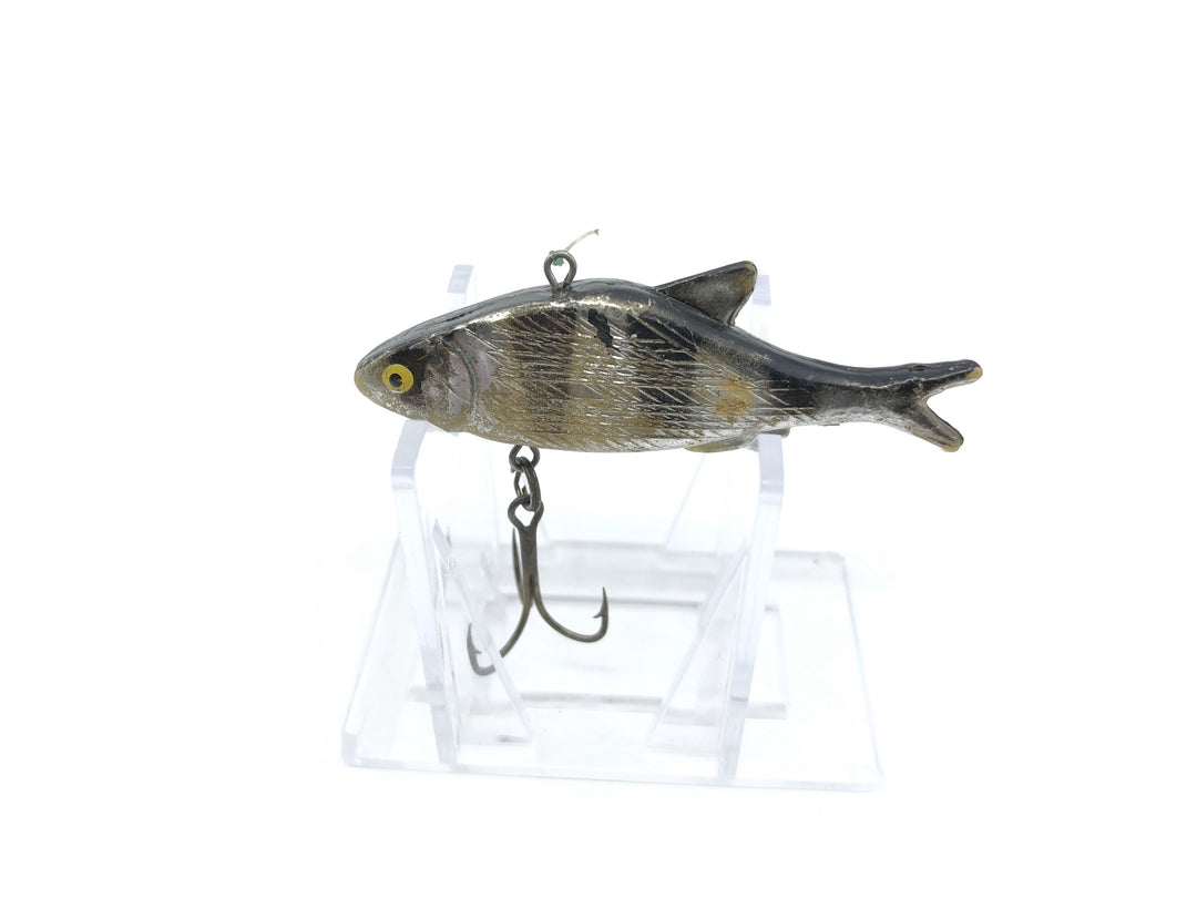 Unknown Black Perch Minnow