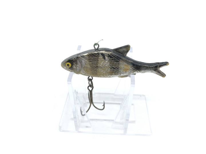 Unknown Black Perch Minnow