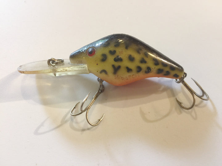 Mann's Deep Razor Back in great Coach Dog type color