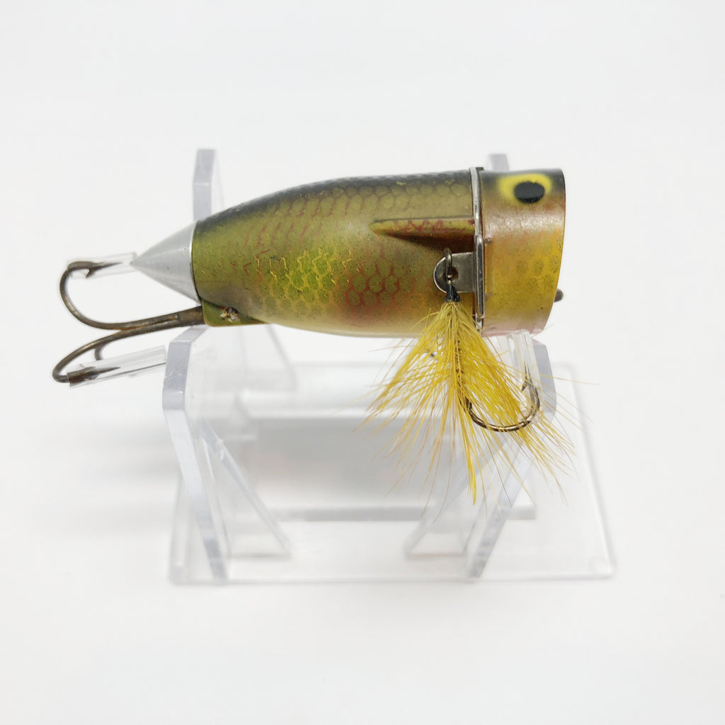 Airex Popit Perch Scale – My Bait Shop, LLC
