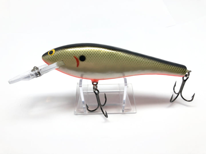Bagley Bang O DB-06 TSO Tennessee Shad Orange Belly Color New in Box OLD STOCK