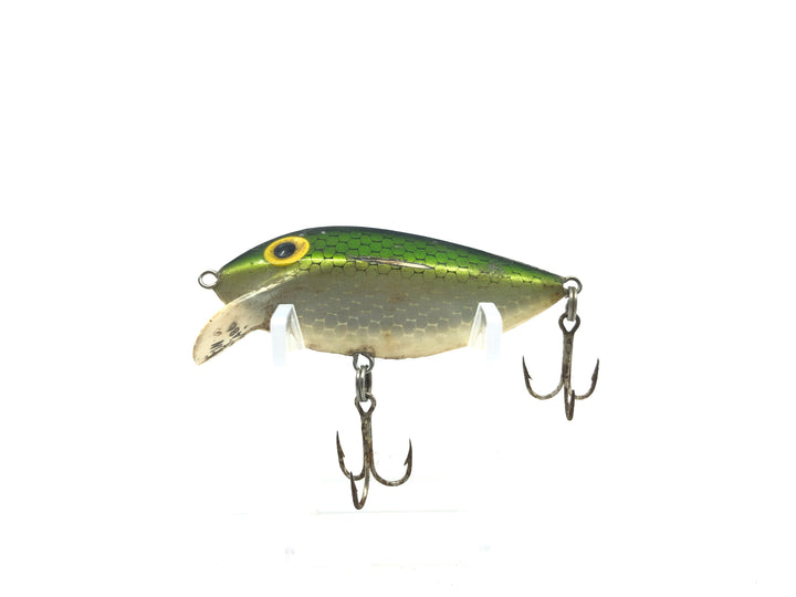 Storm Thin Fin Green Back
