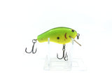 Bagley B-Flat Green and Yellow Color