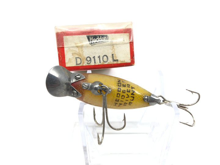 Heddon Midget River Runt Perch Color with Box