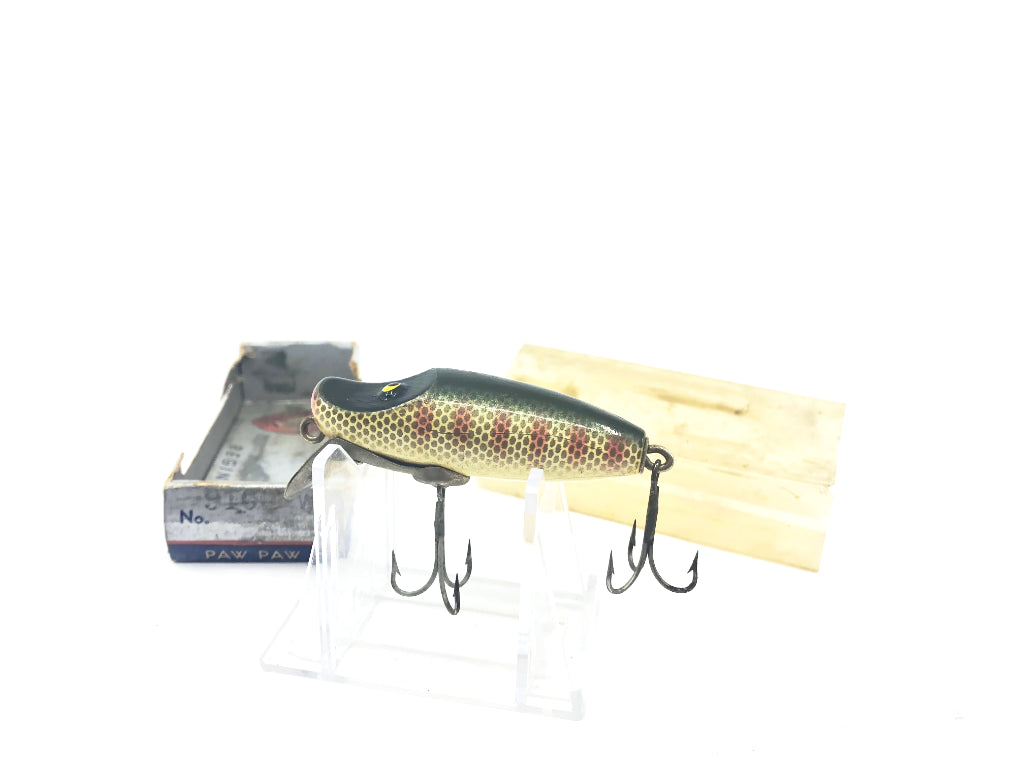 Paw Paw 9100-L Series in Perch Color with Box
