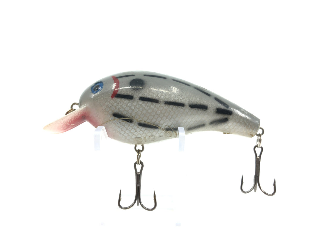 Cordell Big-O Gray with Black Dashes Classic Color