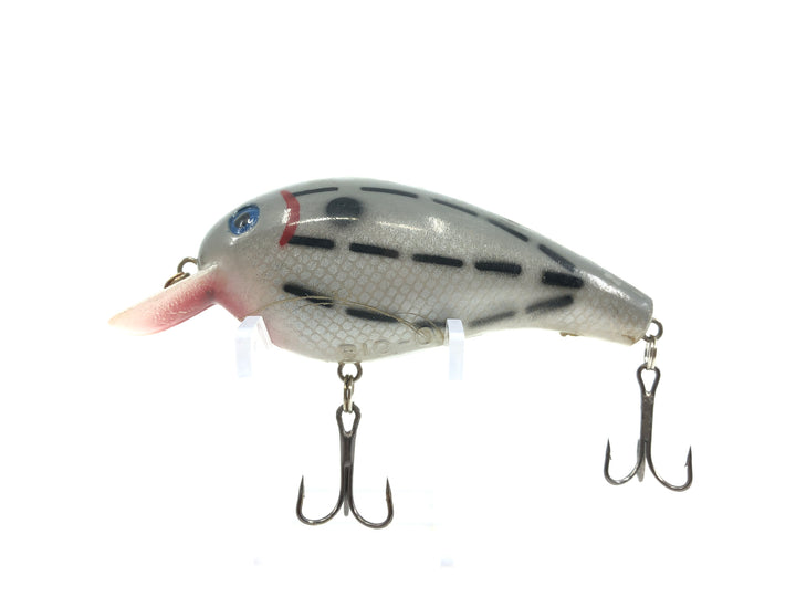 Cordell Big-O Gray with Black Dashes Classic Color