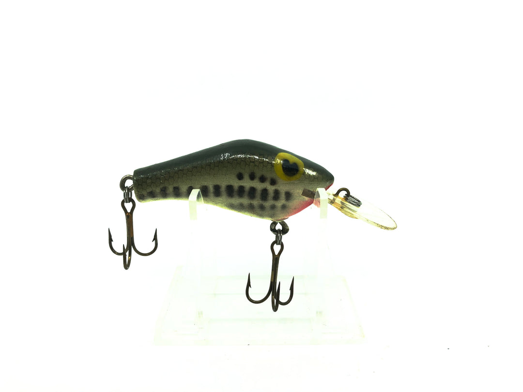 Poe's Super Cedar Medium Diving Series, Baby Bass Color