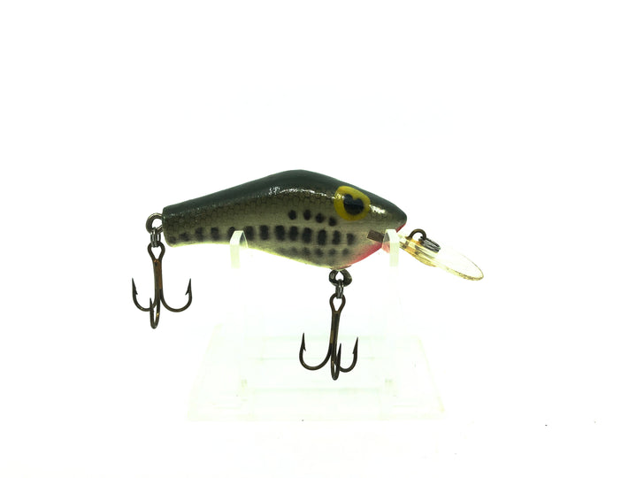 Poe's Super Cedar Medium Diving Series, Baby Bass Color
