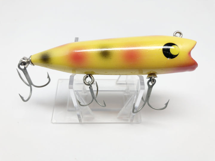 Sam's Chub Darter in Yellow Spot Color